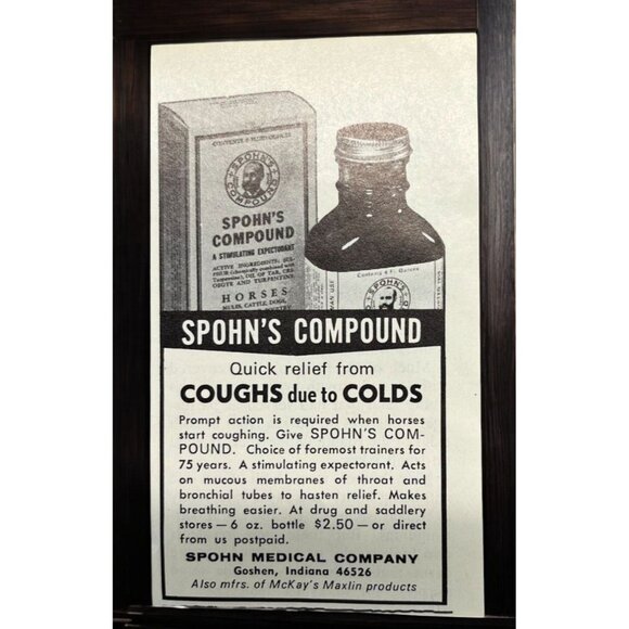 Spohn Medical Co Vintage Mini Print Ad 1970s Horses Coughs Colds Medicine - Picture 1 of 6